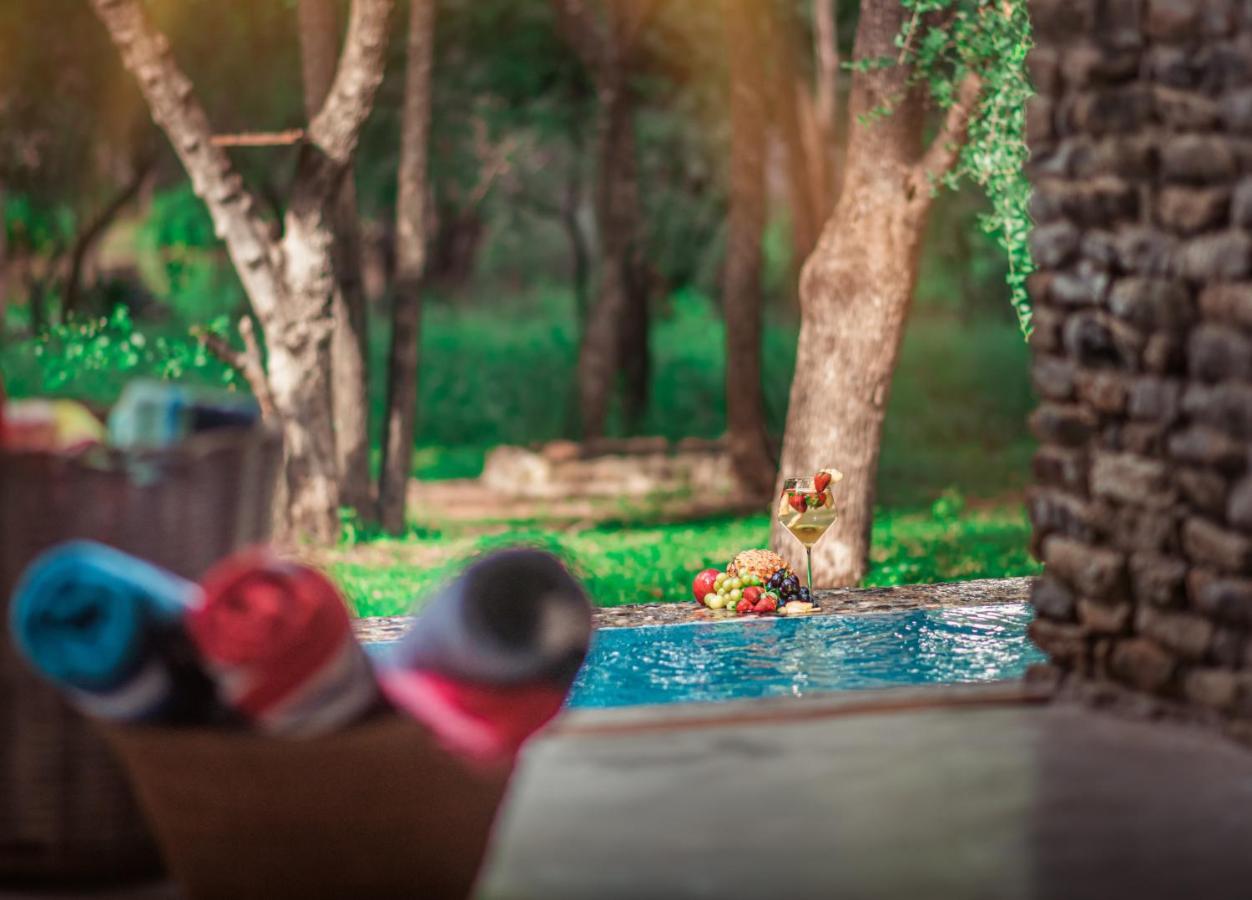 Dream Of Africa Bush Lodge Marloth Park Ngoại thất bức ảnh