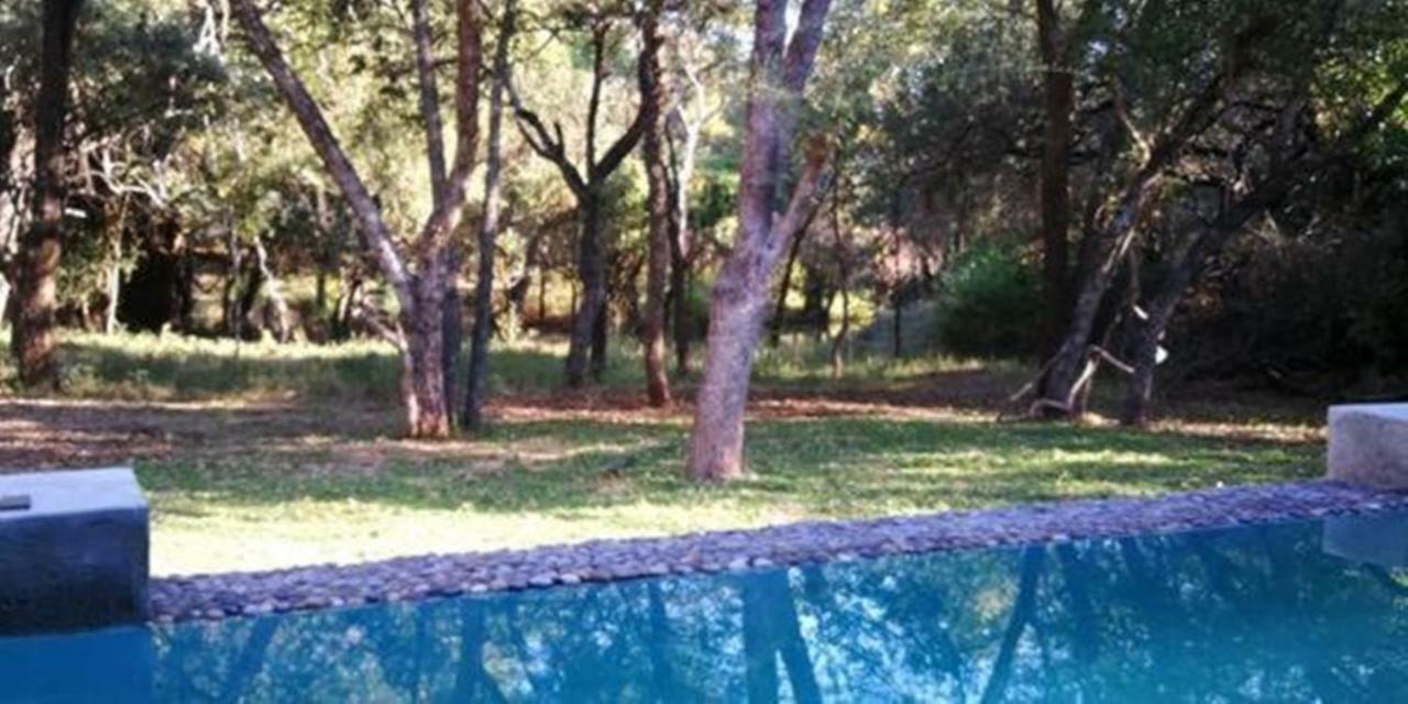 Dream Of Africa Bush Lodge Marloth Park Ngoại thất bức ảnh
