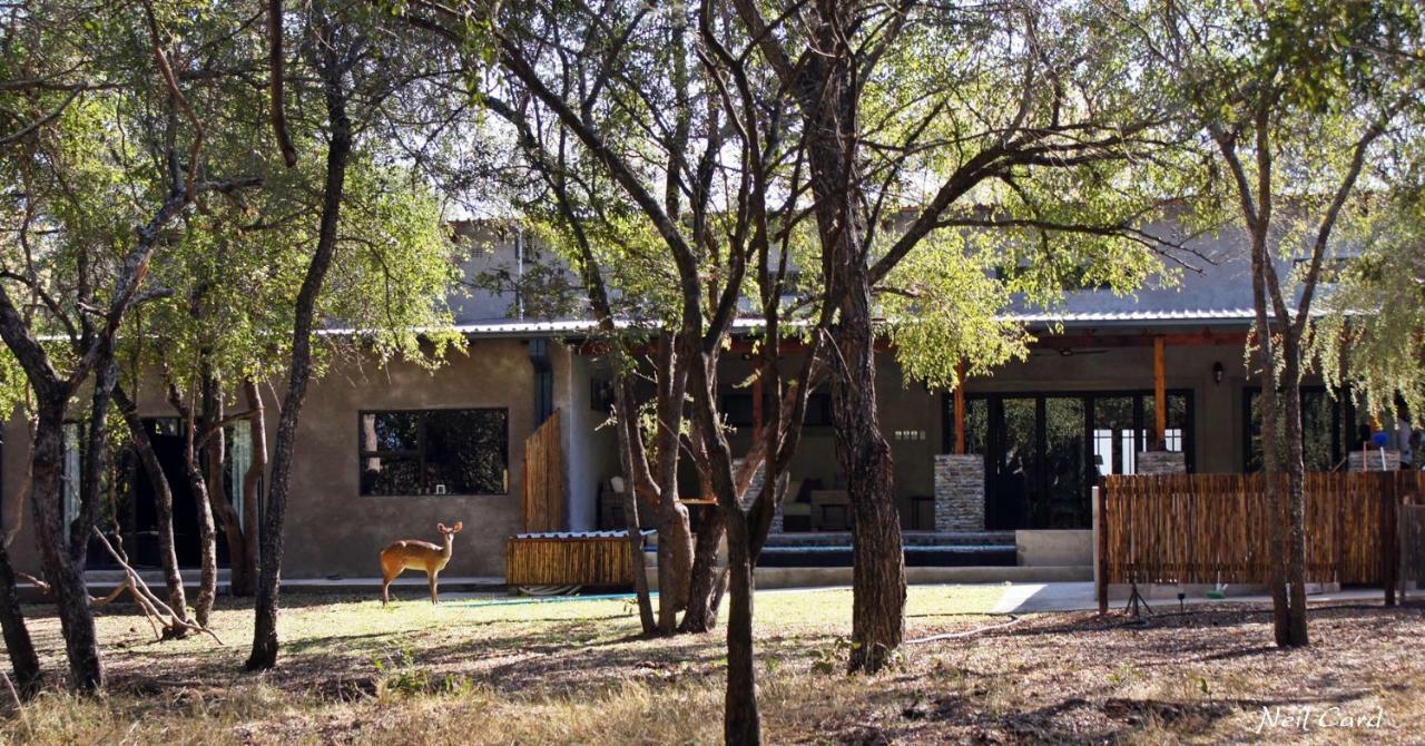 Dream Of Africa Bush Lodge Marloth Park Ngoại thất bức ảnh